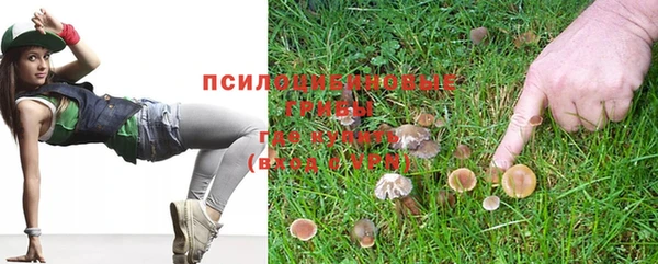 гидропоника Киренск