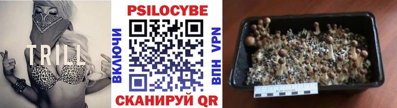 Галлюциногенные грибы Magic Shrooms  Купить закладки  Ак-Довурак 