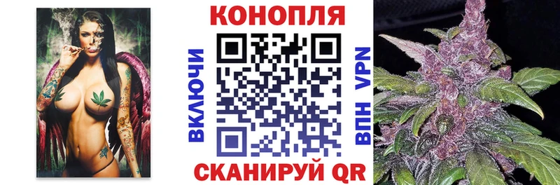 Шишки марихуана план Купить Ак-Довурак
